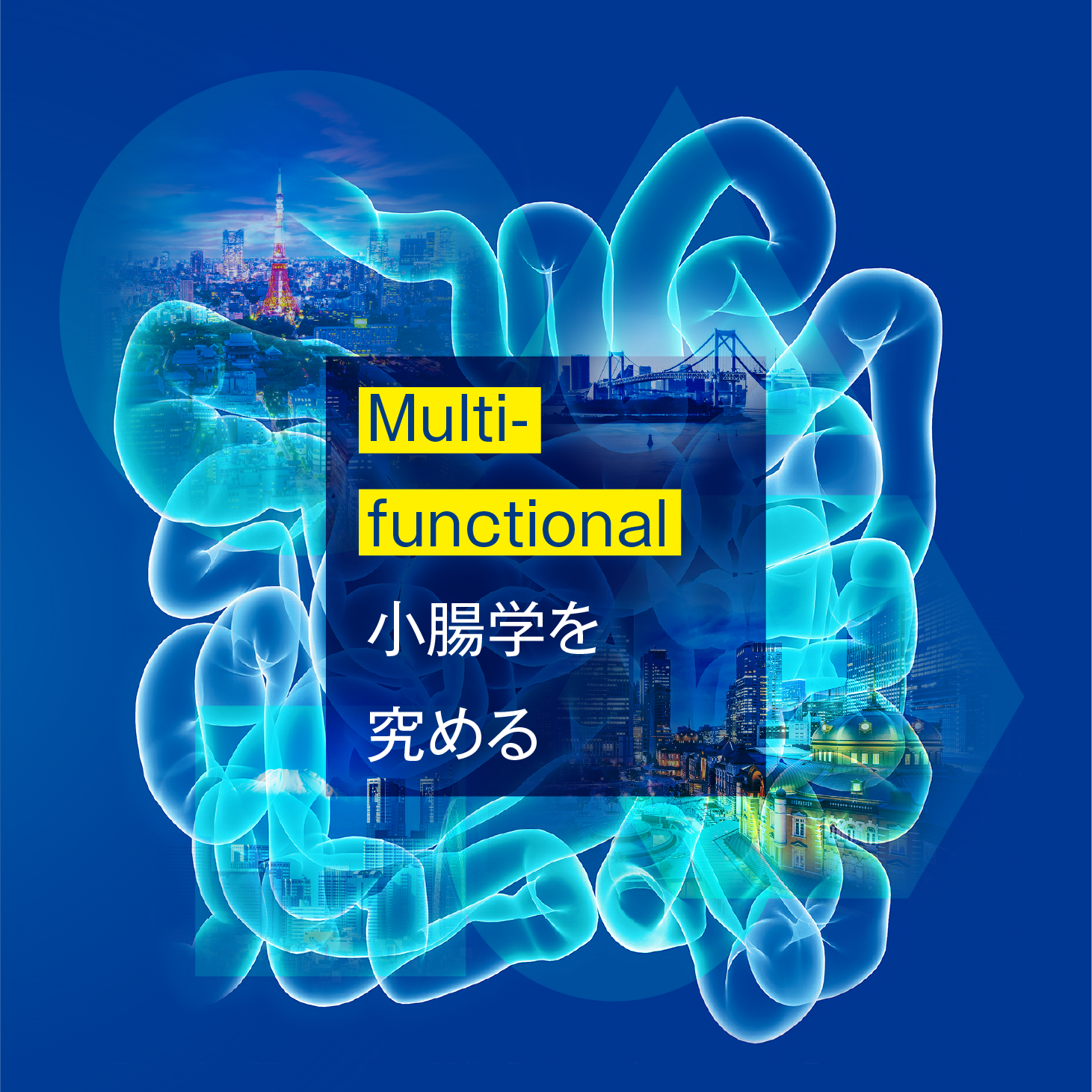 テーマ：Multi-functional　小腸学を究める